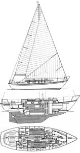 Mason 33 Drawing