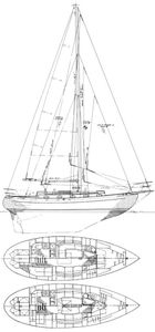 Baba 35 Drawing