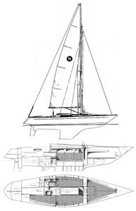 Seniorita Helmsman Drawing