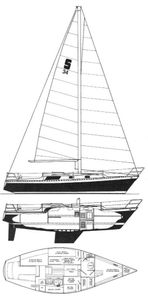 Seidelmann 34 Drawing
