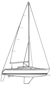 Capo 30 Drawing