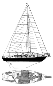 Robinhood 36 Drawing