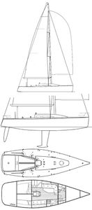 Sydney 38 Drawing