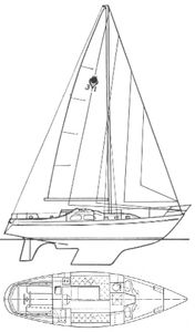 Contest 31 Drawing