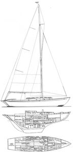 R.N.S.A. Twenty-Four Drawing