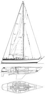 Swan 411 Drawing