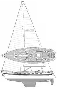Malo 45/46 Drawing
