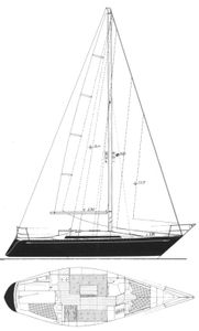 Puma 32 Drawing
