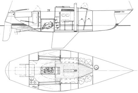 Contessa 35 Drawing