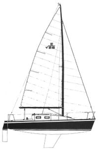 Evelyn 26 Drawing
