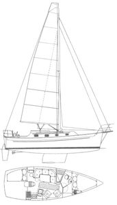 Seaward Eagle Drawing