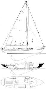 Pipedream 37 Drawing