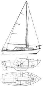 Falmouth Gypsy Drawing