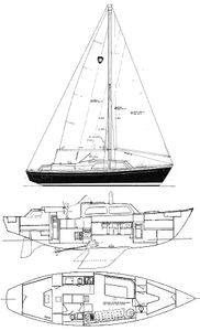 Columbia 41 Drawing