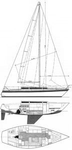 Show 34 Drawing