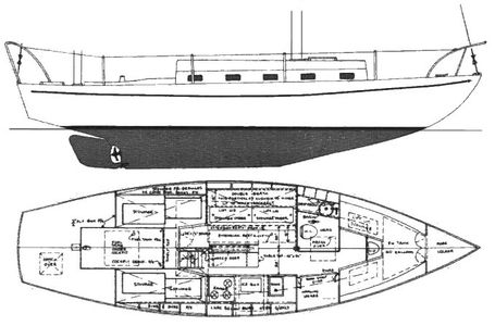 Tavana 33 Drawing