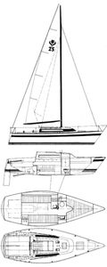 Contest 250 C Drawing