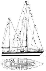 Trintella 53 Drawing