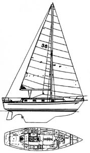Watkins 36 Drawing