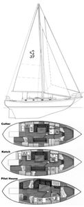 Tayana 37 Drawing