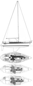 Dufour 39 (Frers) Drawing