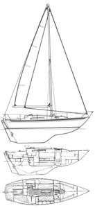 Nicholson 31 Drawing