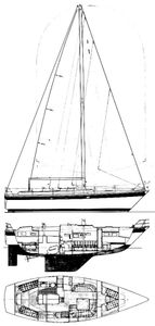 Trintella 38 Drawing