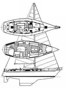 Morgan 43 Drawing