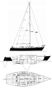 Seguin 40 Drawing