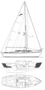 Dolphin 24 (Yankee) Drawing