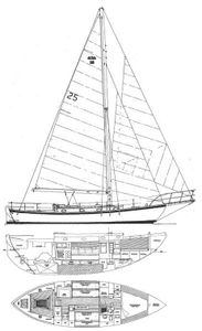 Alajuela 38 Drawing