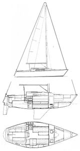 Mallard 9 M Drawing