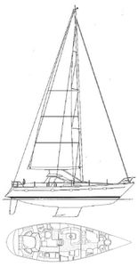 Trintella 47 Drawing