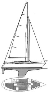 Nova 33 (Albin) Drawing