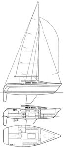 Aphrodite 25 Drawing