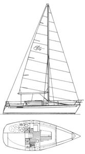 Elite 29 Drawing