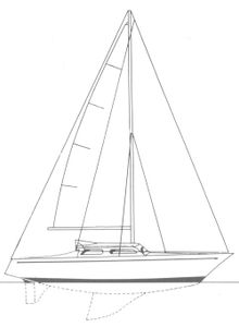 Luth Drawing