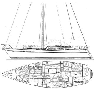Sceptre 41 Drawing