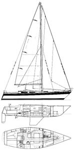 Trintella 42 Drawing