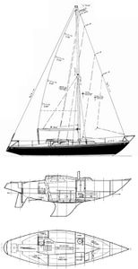 She 31 Drawing