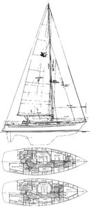 Passport 41 Drawing