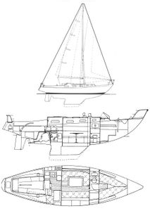 Rival 34 Drawing