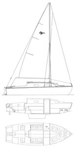 Kingfisher 20+ Drawing