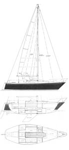 Santana 25-2 Drawing