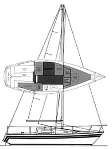 San Juan 24 Drawing