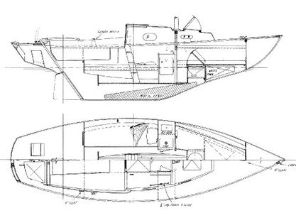 Kittiwake 23 Drawing