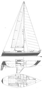 Chaser 29 Drawing