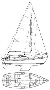 Halcyon 23 Drawing