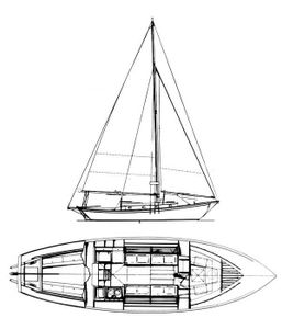 Concordia 25 Drawing