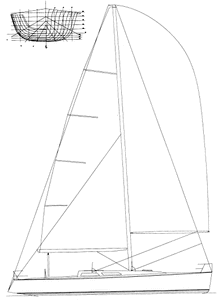 Sydney 46 Drawing